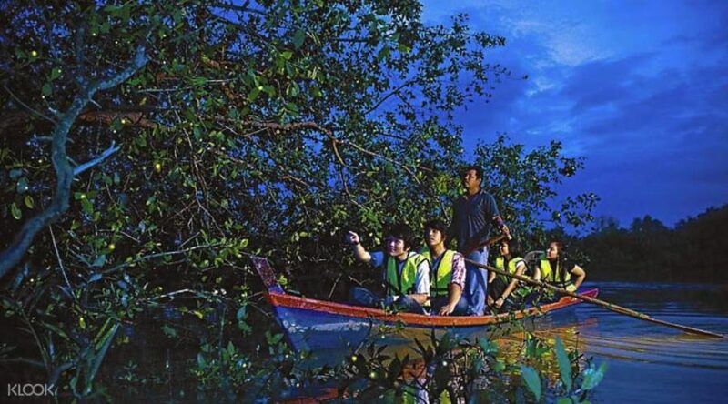 kampung kuantan kuala selangor fireflies tour