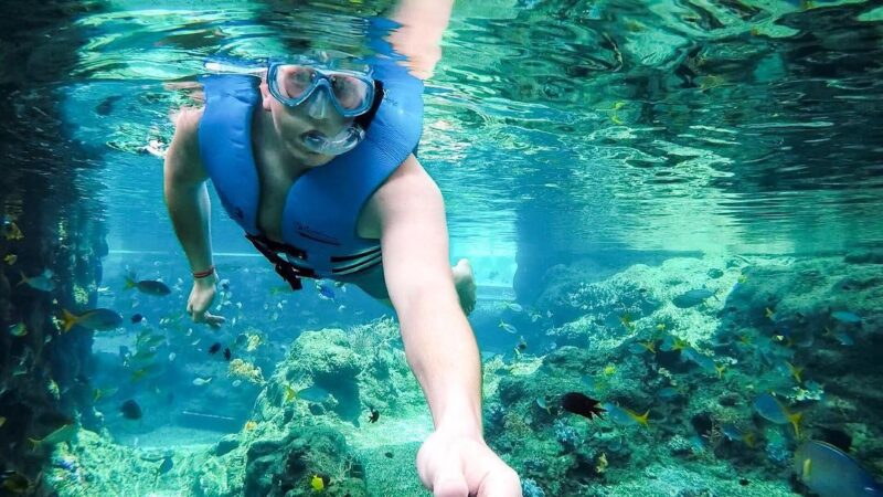 with an adventure cove singapore ticket you can enjoy snorkeling safely in this sentosa water park