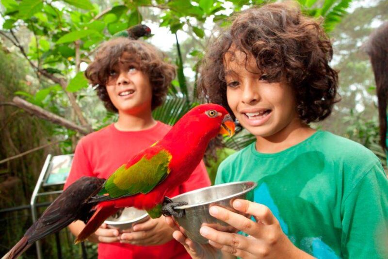 you can feed the birds with your bali bird park tickets