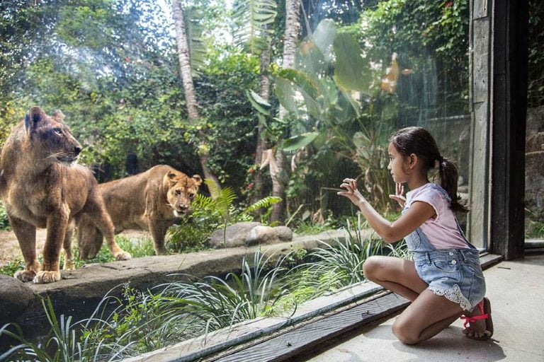 Bali Zoo Tickets Price 2023 + [Promotions / Online Discounts]