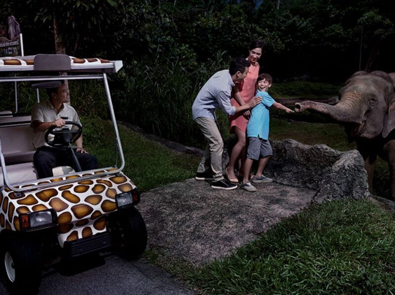 night safari singapore discount