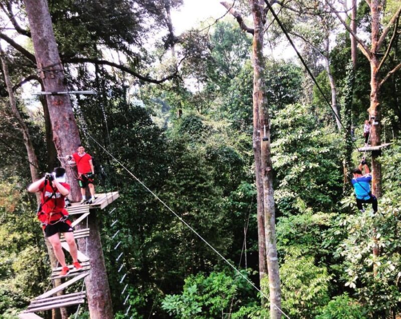 skytrek langkawi ticket lets you enjoy the forest of langkawi from tree top obstacles like this one