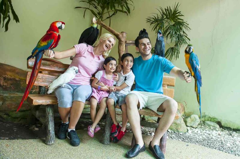 Family at KL Bird Park. Get your ticket + One Way Transfer